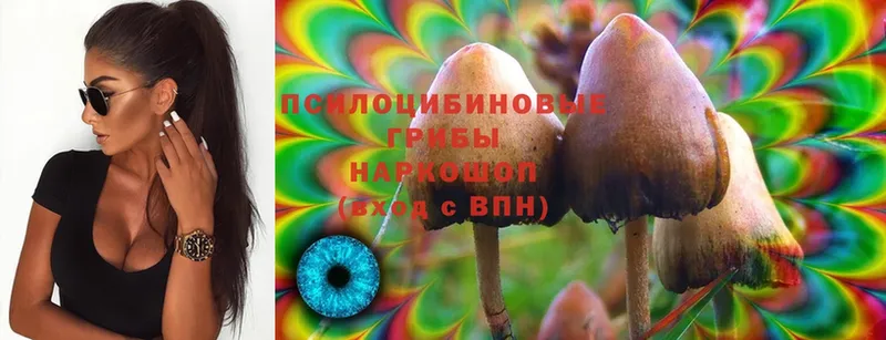 сколько стоит  Мураши  Галлюциногенные грибы MAGIC MUSHROOMS 